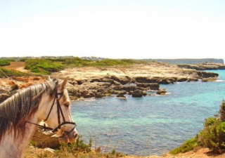 Paseos por la costa